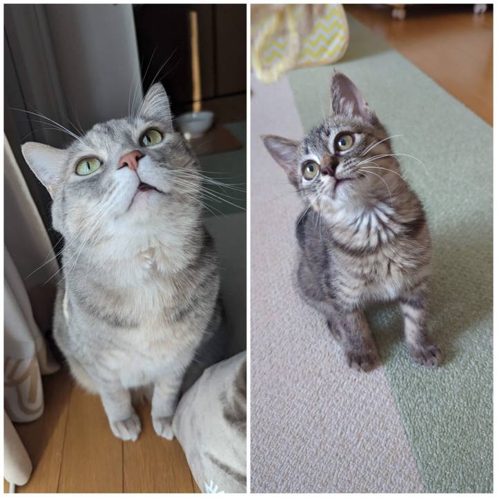 Fd2225cc b707 4a66 9a86 eb0f700fefd8 1700629599927