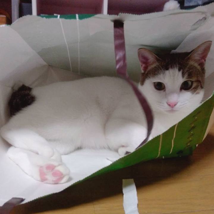 Fd2228e6 e3e6 49f2 9632 f5e312f52226 1670150844708