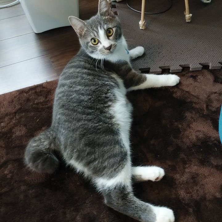 Fd22723f 9acc 49ec 8176 6d7802304dc3 1573687619571