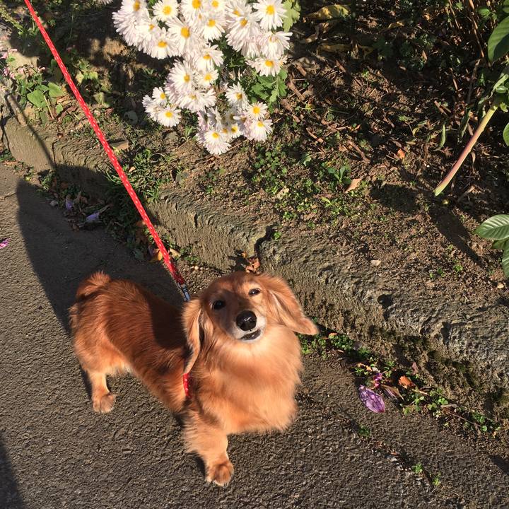 Fd229c56 310d 4d82 9a88 cc5b288cf2a7 1606048817459