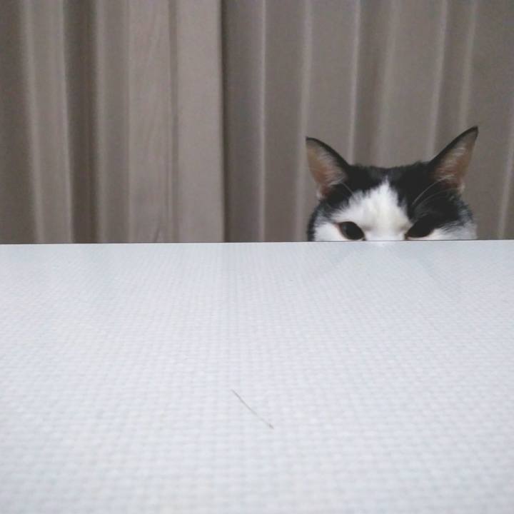 Fd22ee23 3fb5 4f39 bad8 89b1dd970699 1554127000459