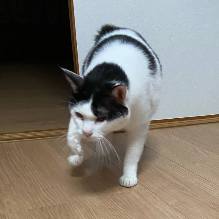 Fd230186 97d8 4019 a37d 0d7597094d5d 1605529405481