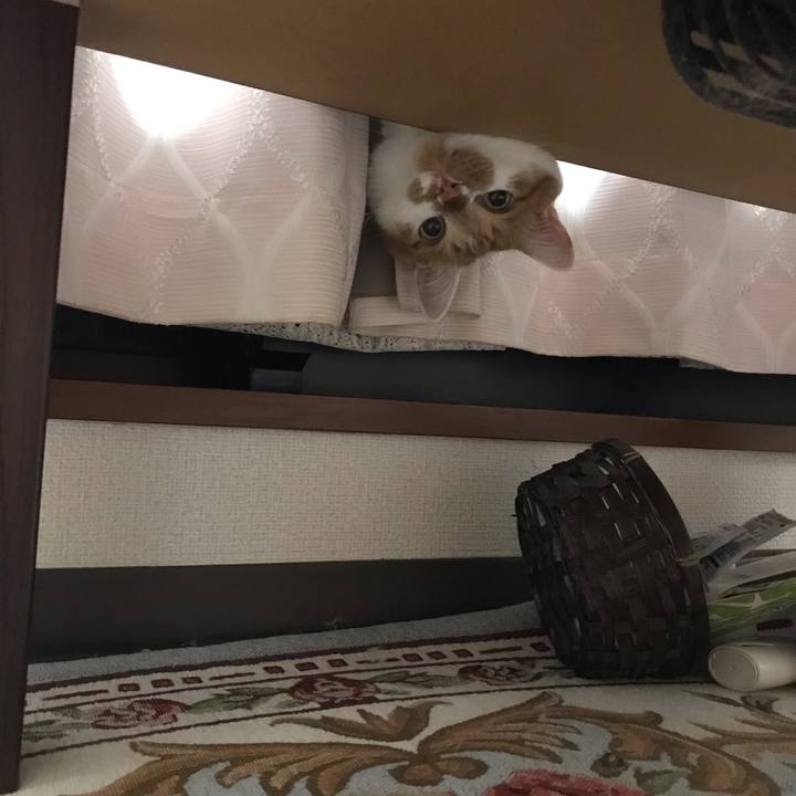 Fd231a1c 123a 42e2 9932 65f4b663f4d6 1569849752447