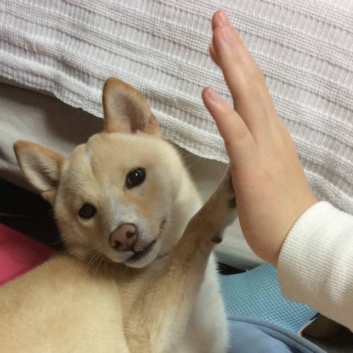 Fd234fa9 853f 4b3f a266 a066cc1ae5b6 1508027115913