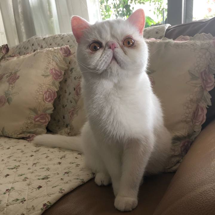 Fd23619b 0773 41d7 a379 ce0284aa553c 1592097651074