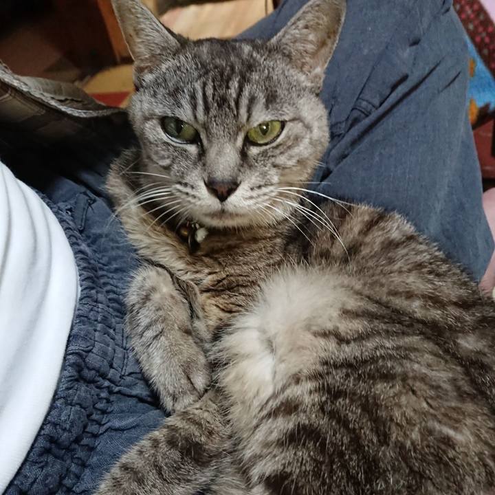 Fd2370c4 6258 497c 8de4 a177c1729fd5 1569320339196