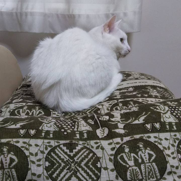 Fd23851f 1fbc 43d8 8812 3ae0a1526d6c 1662673400477