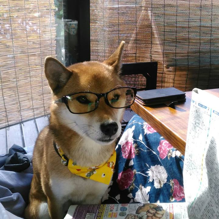 Fd23a043 2070 43be 8617 b16b75f8b21a 1511055820228