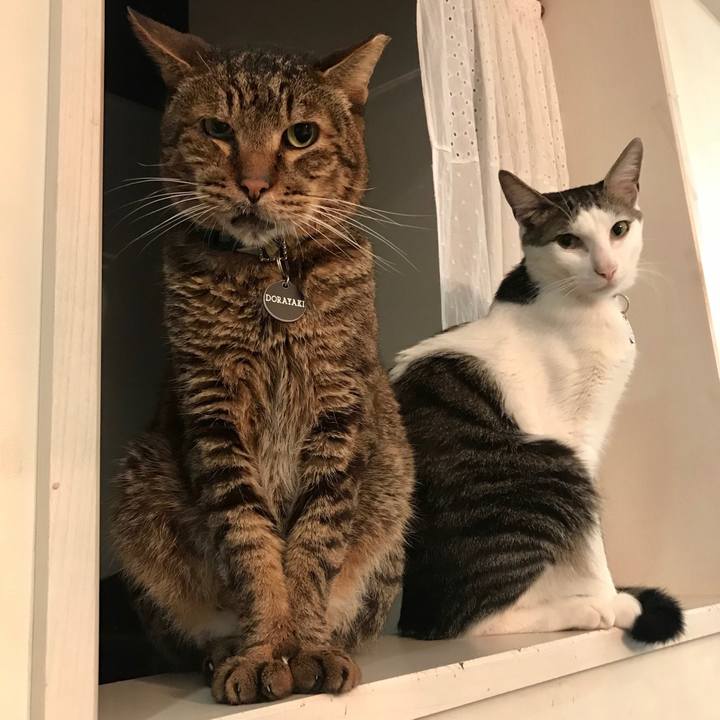 Fd23b455 c6cb 4a0f 8570 5a33a1a56c02 1537971022047