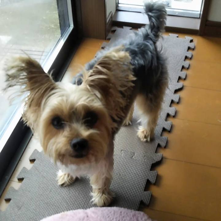 Fd23f44b c7df 43d4 be39 f2cbb8b14043 1642757823346