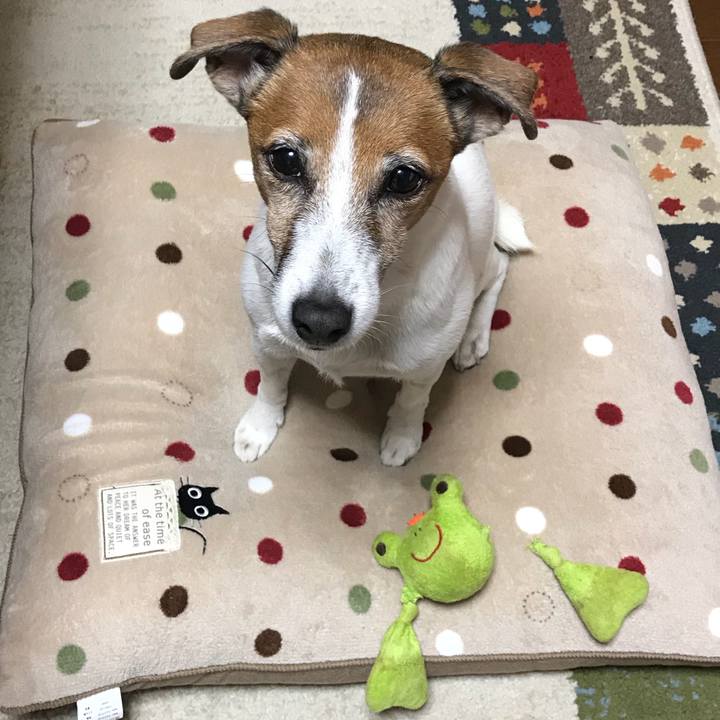 Fd241d63 23b6 4f31 9f39 23c28aa8c050 1510839710599