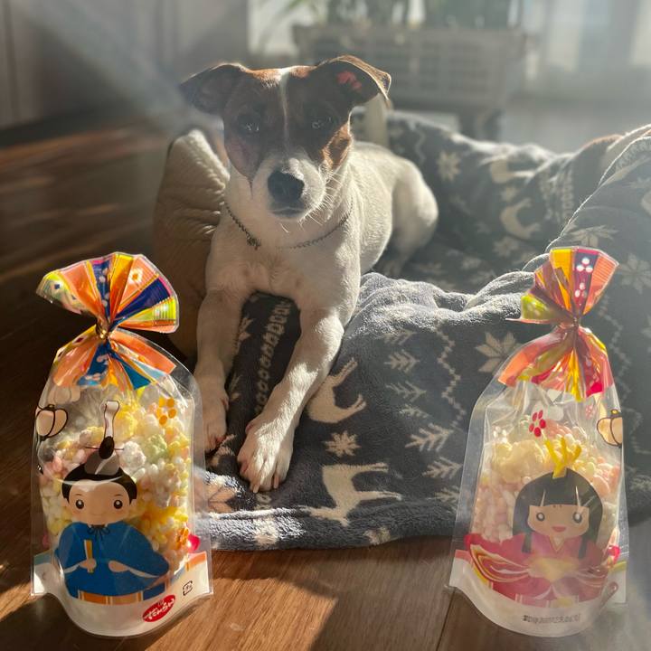 Fd244119 76d2 4de1 b45f 3d16ca8ee93c 1677798745911