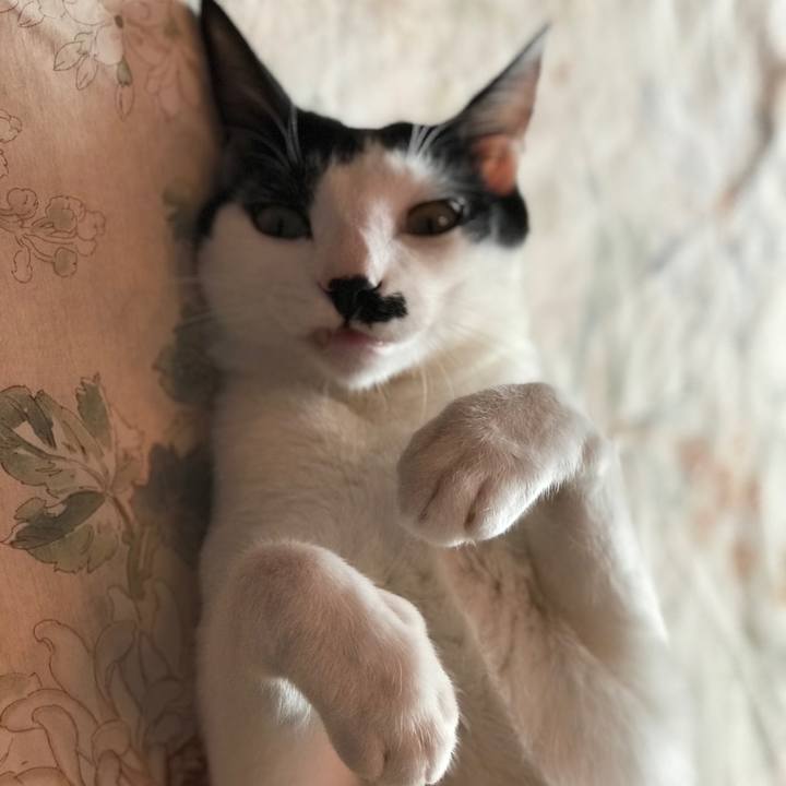 Fd245140 ecba 4dda a95b a02a01fa093f 1516072972198