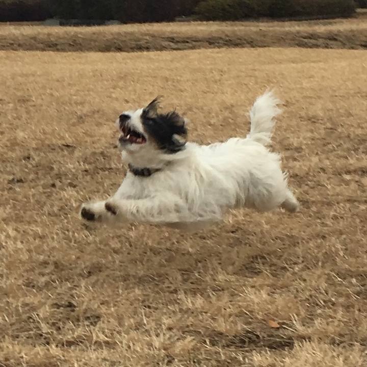 Fd24700a fc96 4849 bc86 6a9d62c9e94a 1515708605578