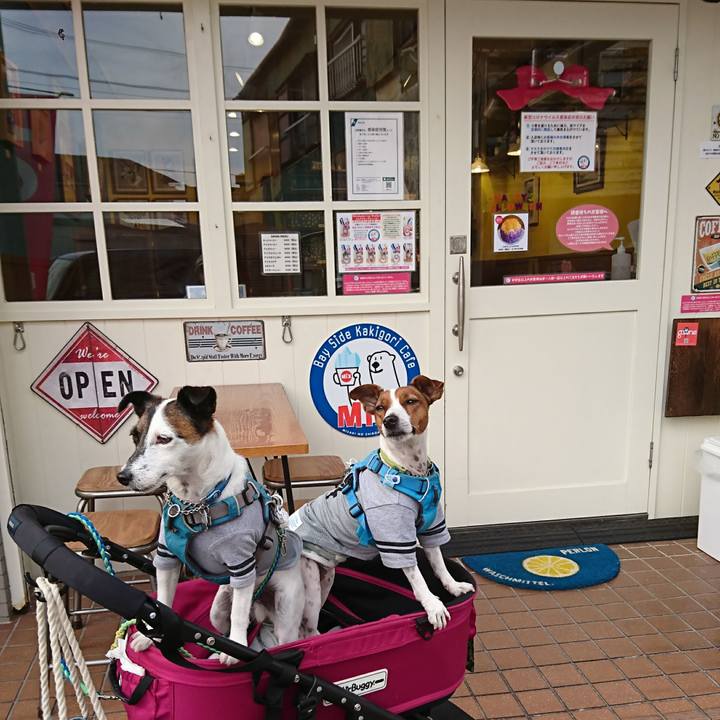 Fd247f0a bca5 4cbb 961a b810fa68789e 1603861904382