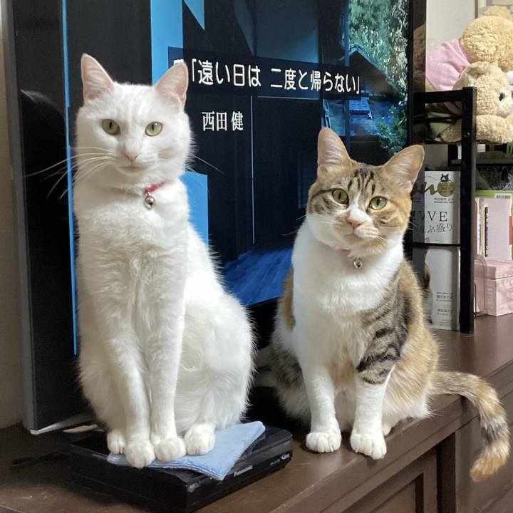 Fd24d2cb dc93 41bc 9e23 bf1afb91169c 1704248048826