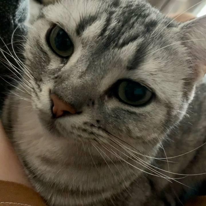 Fd24d354 85fb 4462 a5f7 a8d65737ec41 1626506950403