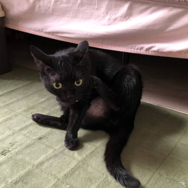 Fd24d78c 2344 43a9 a599 3fbaffeb0301 1614810879702