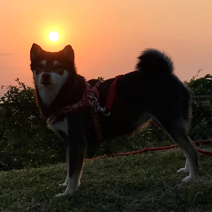 Fd24dae3 43f8 4e0d bcbc 71d511d08586 1520934116153