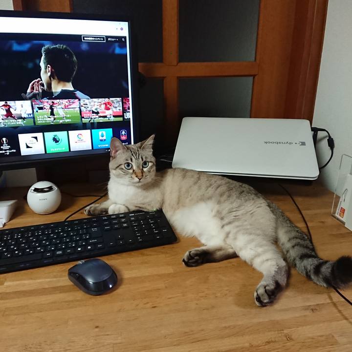 Fd250caf 5b79 43cc a445 462cc119ac90 1596802464486