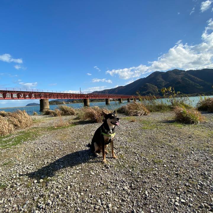 Fd251b8e bb27 460f 992b 7a8e1c84827f 1606052102650