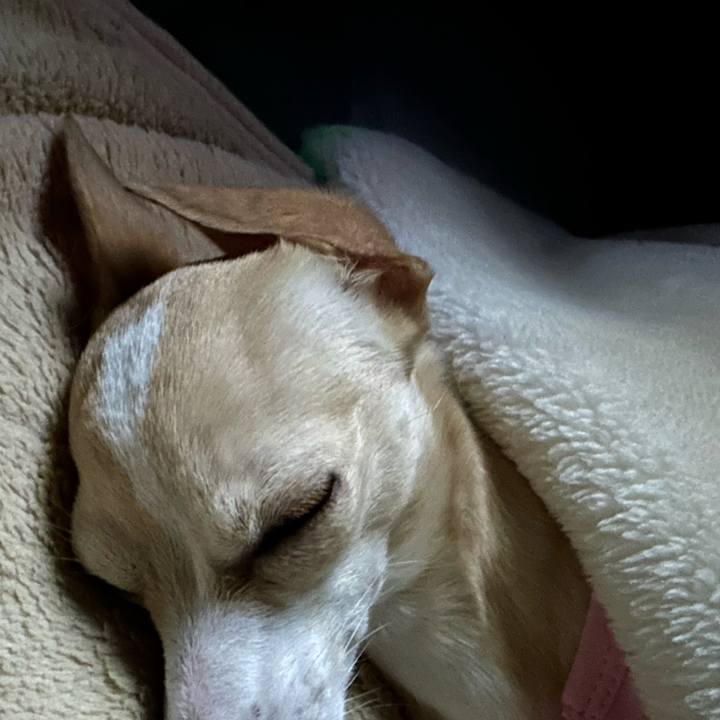 Fd252e7a 2670 4be7 91a7 cc9e6a813026 1680781217112