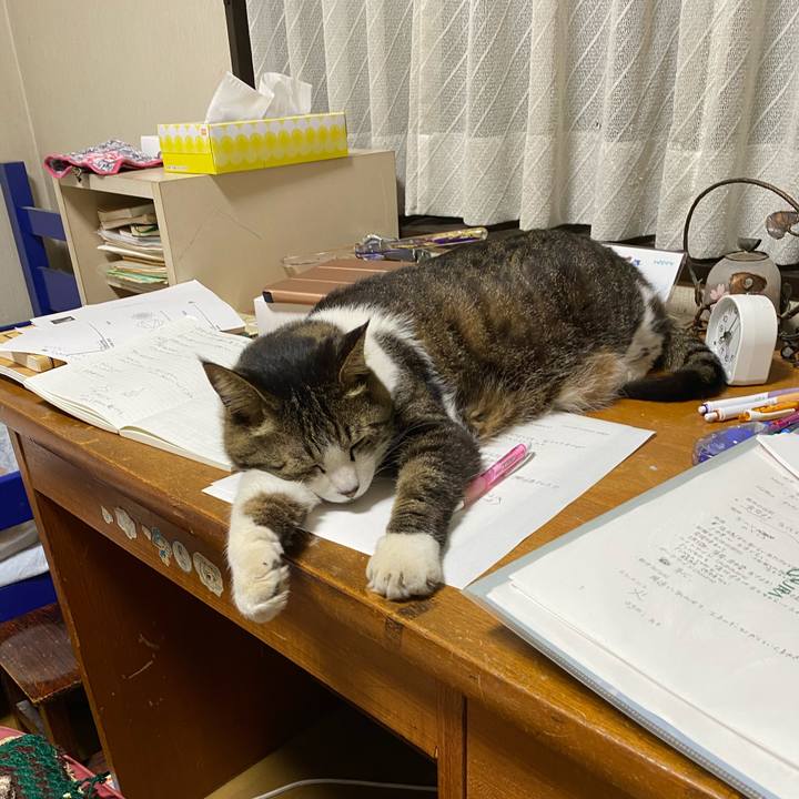 Fd2543a9 b5fb 4b8b b839 234ee3f8d9b0 1589109118604