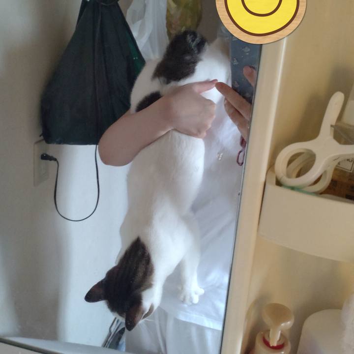 Fd254a5e c1c4 4a55 a3c0 84881b3535b9 1694994710330