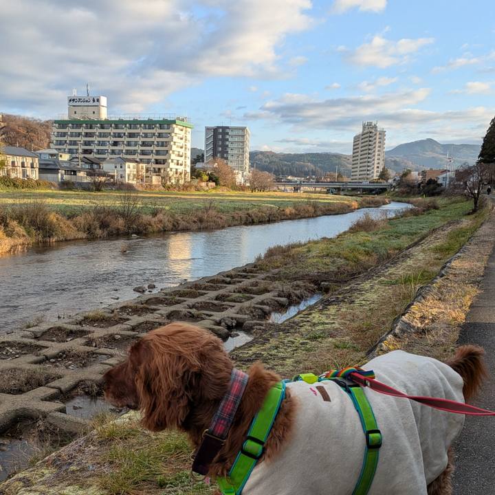 Fd2567c2 dfb2 47a6 bc6c 902668ff1abe 1764461205491