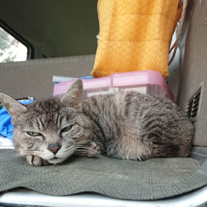 Fd257983 5c07 4244 bb84 227432825822 1588410828596