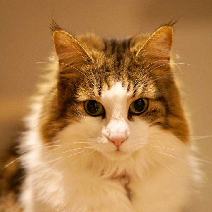 Fd2591b8 5dd5 4d89 b5bb 240a86737fa5 1544952878155