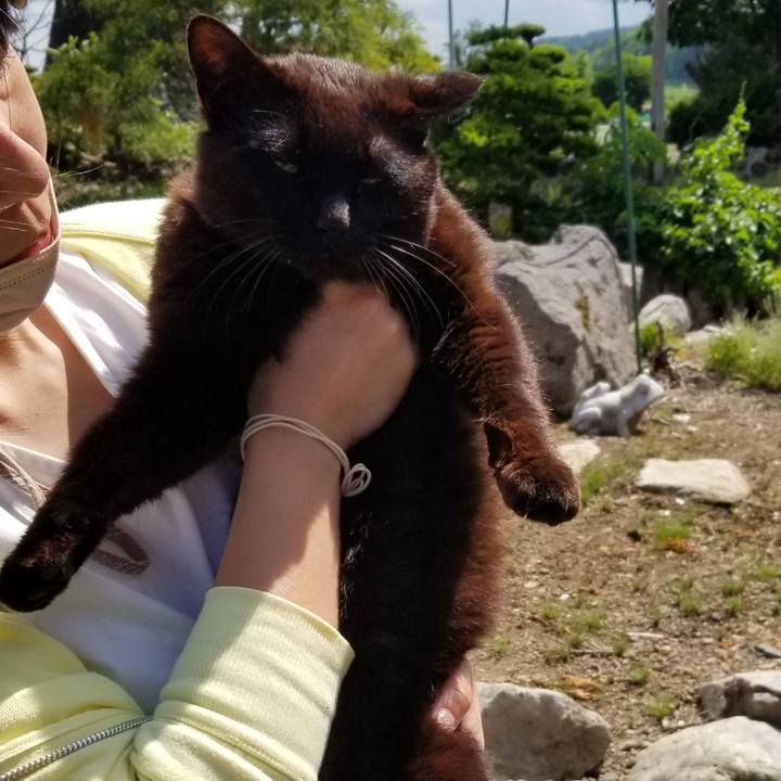 Fd259b8d f76e 43bb 92f8 59149ec8eb5c 1686493955551