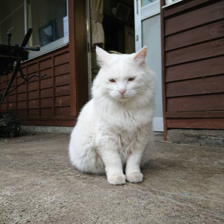 Fd25c9d2 c627 4dfc 8e91 ee5176b93a36 1570400829662