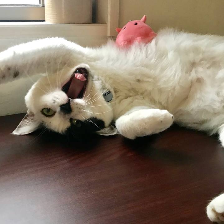 Fd25eab0 70cb 4779 b6c8 99d68ff5d3c3 1569332433749