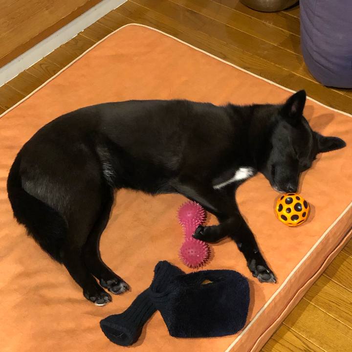 Fd25fd91 99e7 460f a94d ac47ea48b6be 1564238433206