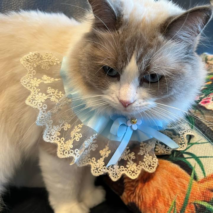 Fd260403 345a 45f0 b756 5162796dab12 1656399740204