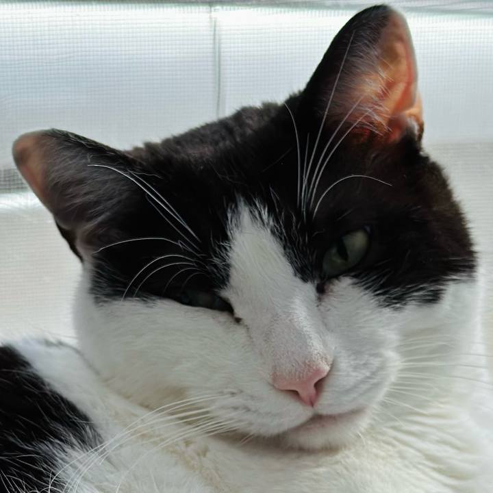 Fd263970 4783 4cdc 8405 56caf9ddf1d3 1679367633126