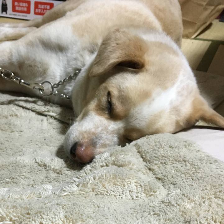 Fd2654db d1c5 4e1a 812b 69e3042d2595 1526475185042