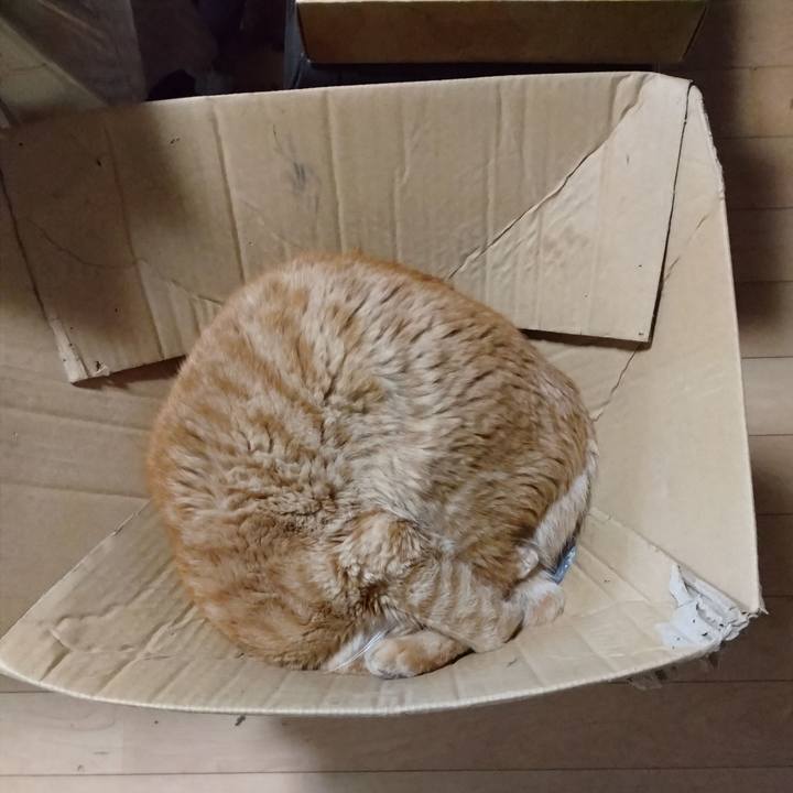 Fd2661a2 2f03 4fee ad3b 89793df4f3e3 1686966517060