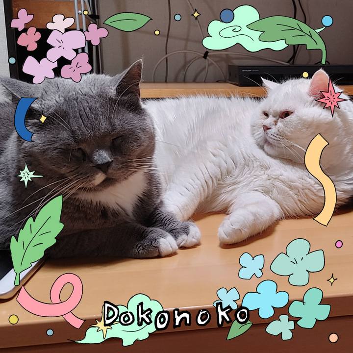 Fd267e49 c45a 4950 a475 b099e06a13f0 1717677313913