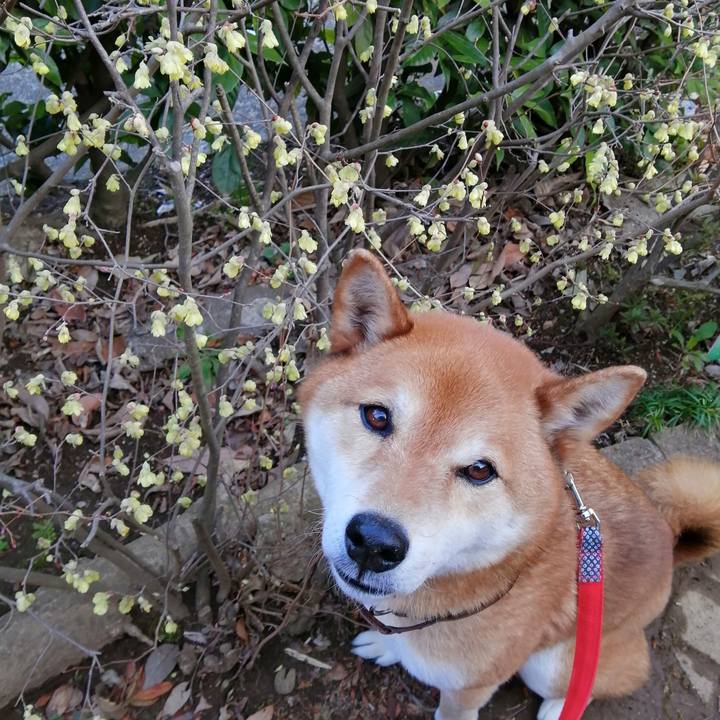 Fd2680c8 e1c8 4681 961a efdcac1e10a5 1648117459527