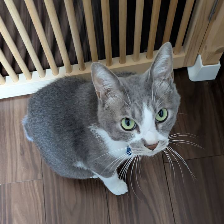 Fd26c228 0782 4c64 9ce0 9827a9567a7f 1759659795806