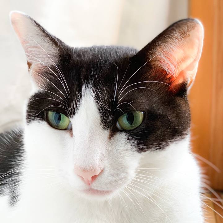 Fd273e8d 128e 4545 87df e0251087b2ed 1567473873112