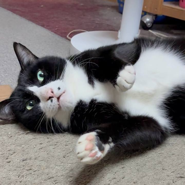 Fd276cc7 13ef 4046 9546 b2f61a3e451a 1762685671674