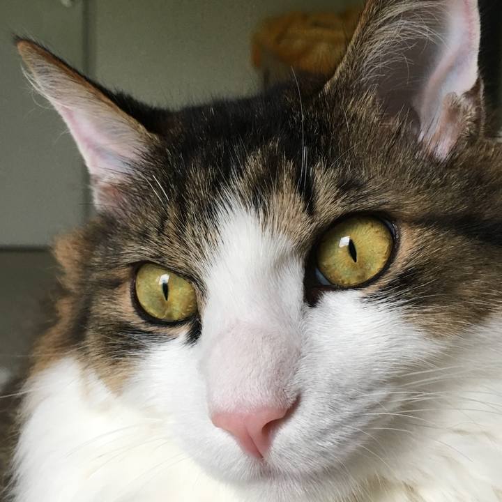 Fd279ffc 98e9 43f0 a8fd b8b83967f9ba 1690591487849