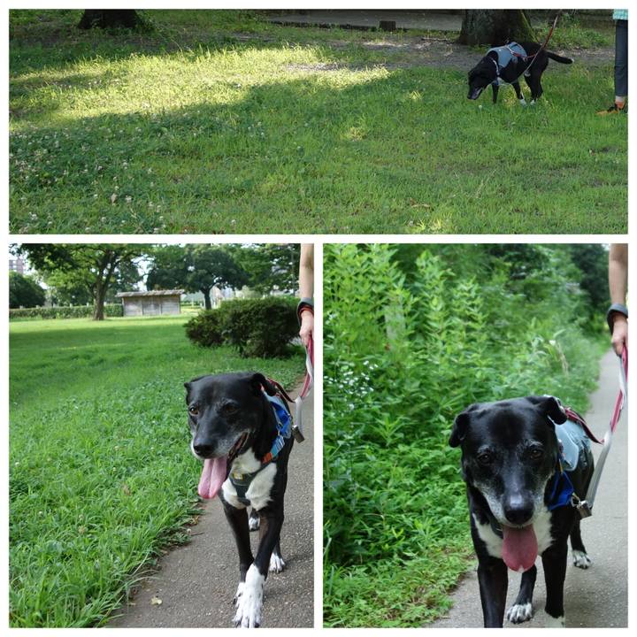 Fd27b0af d11f 454d 8966 5adf97581171 1751585398156