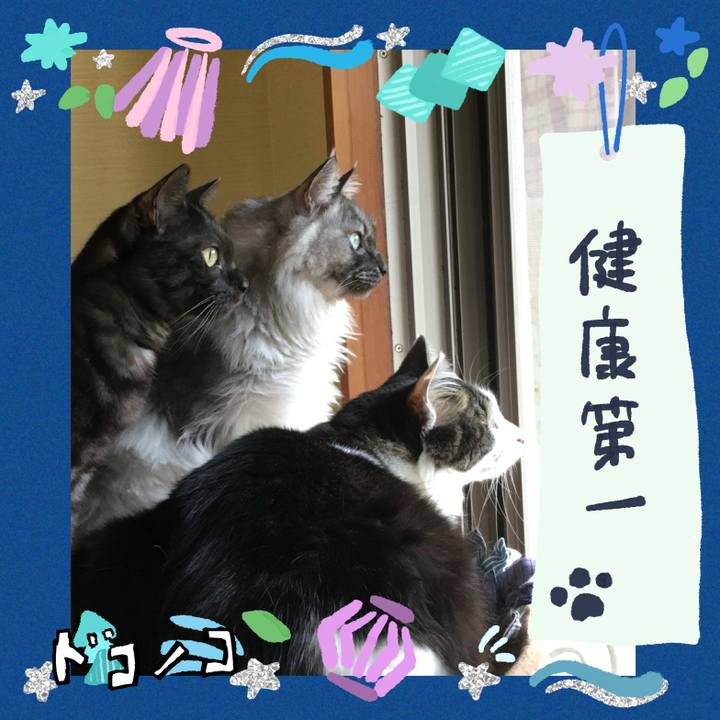 Fd27b280 8b69 43b3 aa32 984004d4593f 1720924593433