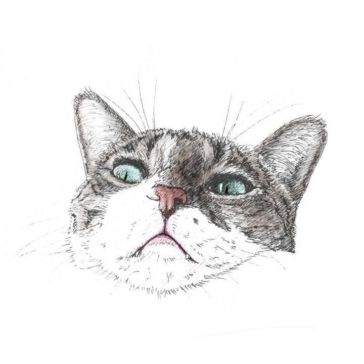 Fd27ce56 60ce 4e94 8615 7d6ae28d5c0d 1566569513975