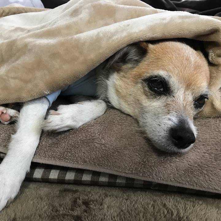 Fd27d51f 837e 425a 8ec1 ac1cbd6fcec9 1643419580754