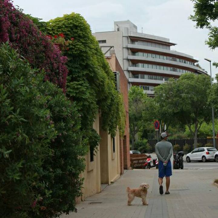 Fd27e111 fa0f 492b a59a b195659a8218 1589466395565